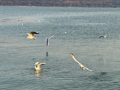 -云龙湖旅游景区