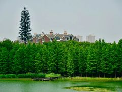 -长广溪湿地公园