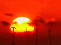 -春花秋色城市公园