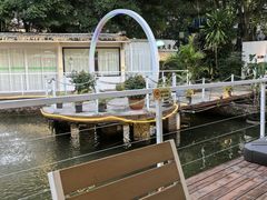 -芭厘农庄老字号·清远鸡