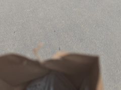 -西秀印象(东郡一品店)