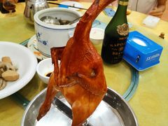 -强记烧鸡(信业悦都汇店)