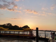 -溱湖国家湿地公园