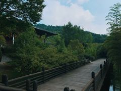 -大唐贡茶院