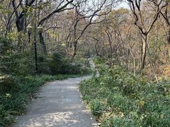 -句容茅山景区