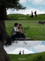 点击看大图 -蒙娜丽莎婚纱摄影·旅拍