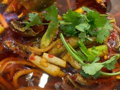 -高坎一品甲鱼庄(两河店)