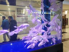 -陇菜和盛祥(金轮宾馆店)