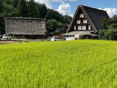 -白川乡与五箇山的合掌构造村落