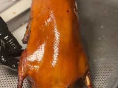 北京果木挂炉烤鸭-東興楼·北京烤鸭(深圳首店)