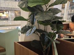 -LUNEURS月乐诗·法式冰淇淋(环贸店)