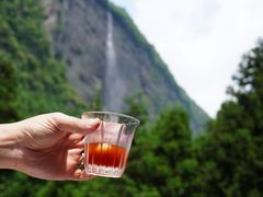 -重庆睡佛山森林公园