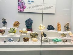 -湖南省地质博物馆