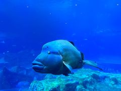 -珠海长隆海洋王国