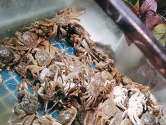 -鑫海汇海鲜烤肉自助(北国商城店)