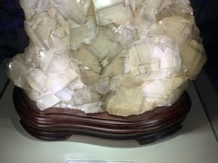 -陕西自然博物馆