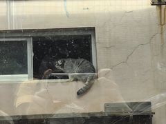 -青藏高原野生动物园