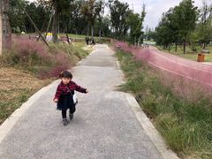 -白鹭湾湿地公园