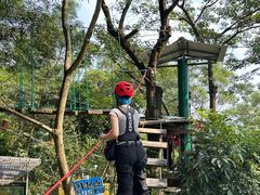 -芦仙山景区-飞越丛林探险乐园