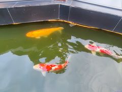 -濮园 · 四合院餐厅