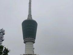 -梧桐山风景名胜区