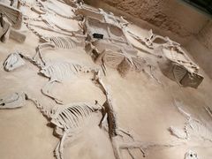 -洛阳周王城天子驾六博物馆