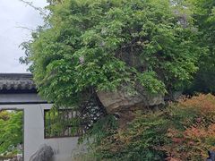 -常熟方塔园