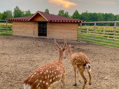 -安德鲁户外烧烤帐篷营地(马泉营店)