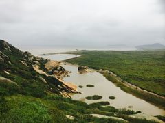 -洋山深水港