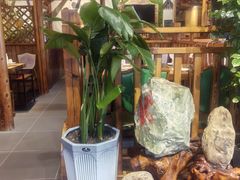 -草原塞蛮羊火锅城(港湾店)