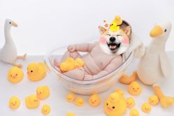 点击看大图 -爱你宝贝儿童摄影(西湖云端店)