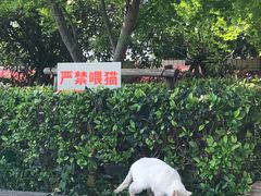 -沪小胖小龙虾(淮海中路旗舰店)