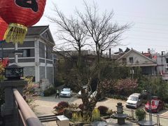 -老幺泉水鸡