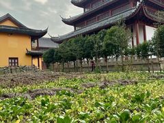 -吴兴寺