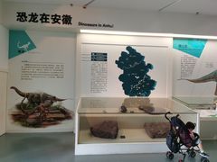 -安徽省地质博物馆
