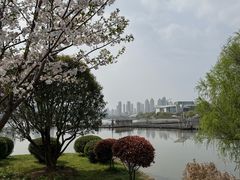 -月湖风景区