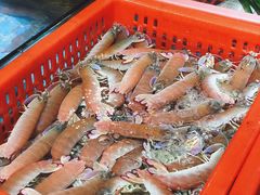 -79号渔船海鲜饭店(宝安店)