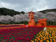 -苏州上方山国家森林公园