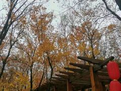 -北京上方山国家森林公园