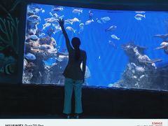 -多彩贵州城极地海洋世界