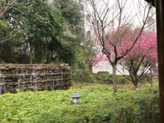 -山湖温泉
