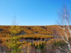 -塞罕坝国家级自然保护区