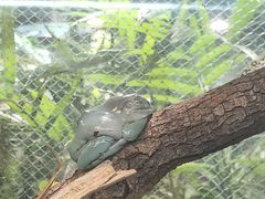 -上海大自然野生昆虫馆(东方明珠·爬宠昆虫探索中心)