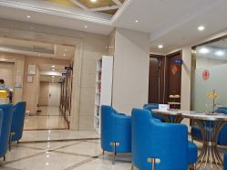 -碧莲盛·不剃发植发