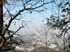 -灵顺寺
