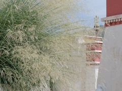 -五当召景区