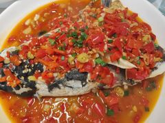 -全乐鱼馆·淳牌有机鱼直营店