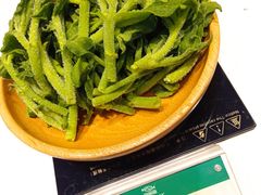 -南海渔村(珠江新城店)