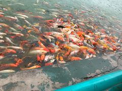 -北戴河圣蓝海洋公园