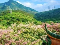 -东莞观音山旅游风景区